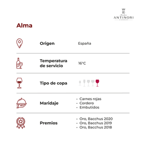 Alma De Luzón