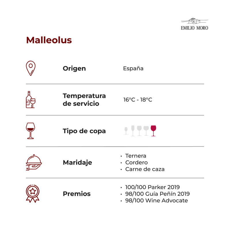 Malleolus