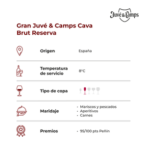 Gran Juvé & Camps Brut