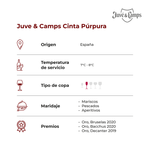 Juve-Camps-cinta-purpura