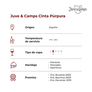 Juve Camps Cinta Púrpura Brut Reserva 375ml