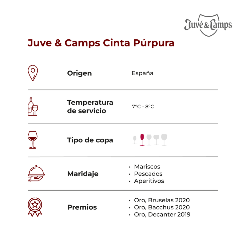 Juve-Camps-cinta-purpura