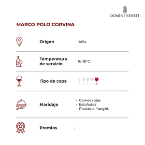 Marco Polo Corvina