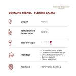 DOMAINE TRENEL - FLEURIE GAMAY-2