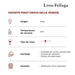 Esperto Pinot Grigio delle Venezie-2