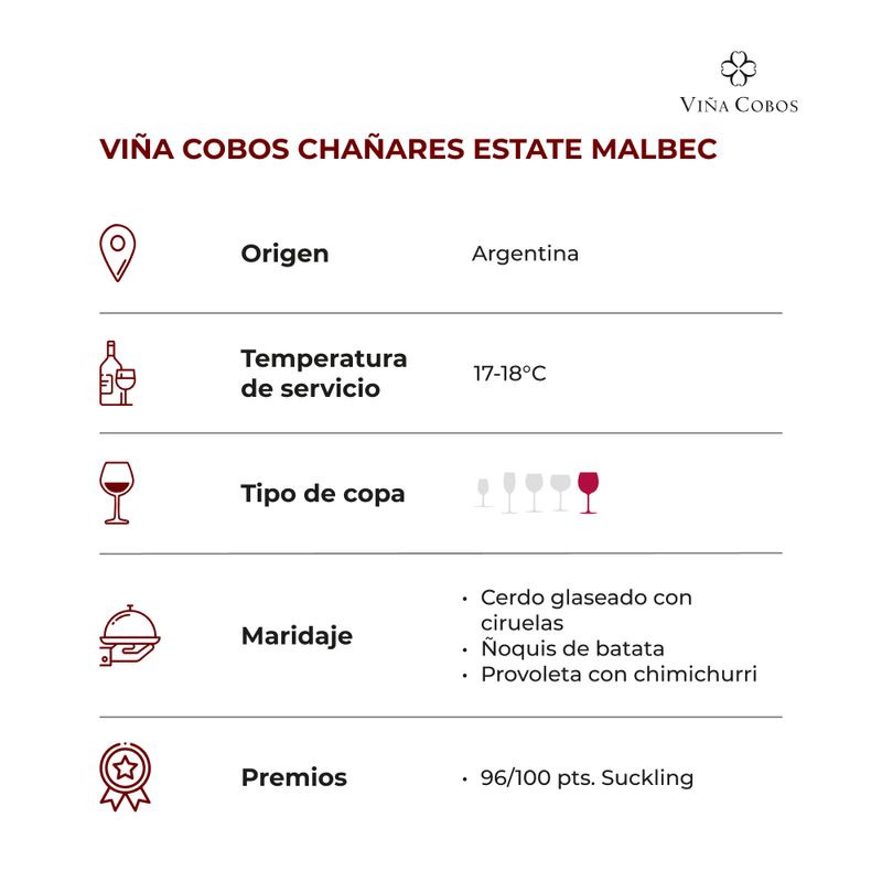 Vina-Cobos-Chanares-Estate-Malbec-_FICHA